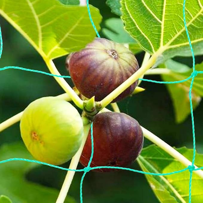 Pack of 2 Cucumber Tomato Trellis Netting, Heavy Duty Garden Netting for Climbing Plants Support, Pea, Grape, Bean, Fruit, Vegetables - 4" Mesh Size, 6Ft x 12Ft