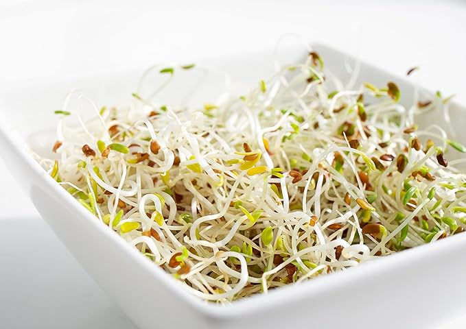 Food to Live Organic Alfalfa Seeds for Sprouting, 1 Pound - Non-GMO, Edible Seeds, Pure, Vegan, Kosher, Bulk. Rich in Vitamin K & C. High Germitation Rate. Grow Sprouts & Microgreens for Salads, Rolls
