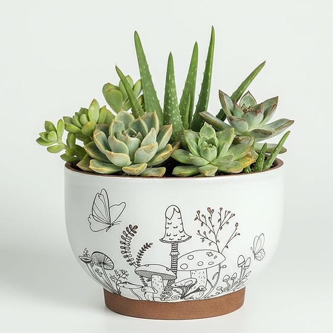 Succulent Pots Terracotta, 6 Inch Plant Pot for Plants with Drainage Hole, Ceramic Planter Mushroom Pattern, Round Flower Pots for Indoor Outdoor Herb Orchid Snake Plants - 1 Pack