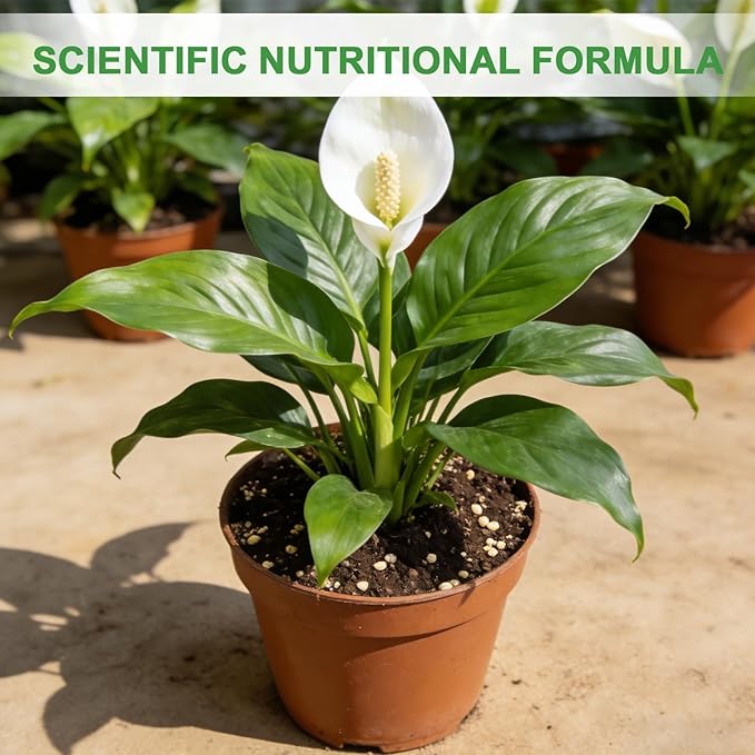 Premium Peace Lily Potting Soil 1qt– All Natural, Well-Draining & Breathable Soil for Peace Lily & Indoor Plants