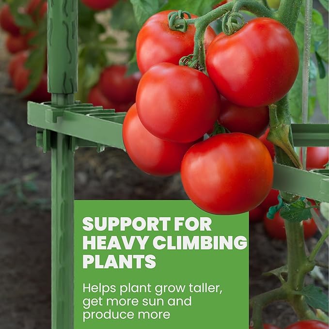 K-Brands Tomato Cage - Tomatoes Plant Stakes Support Cages, Trellis for Garden & Pots, Plant Support Structures for Vegetables and Climbing Plants (3 Pack - Tall Upto 68 inches)