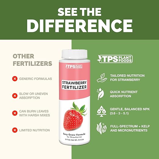 Strawberry Fertilizer – Liquid Strawberry Plant Food for Better Berry Production & Healthy Growth, 1 Gallon