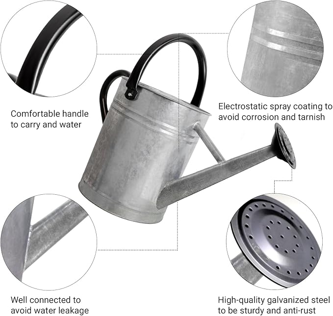 Metal Watering Can with Removable Spout, Galvanized Steel Plants Water Can for Women, Men and Kids' Outdoor or Indoor Gardening - Nice Flower Watering Pot Gift & Decoration (Zinc, 0.6 Gallon)