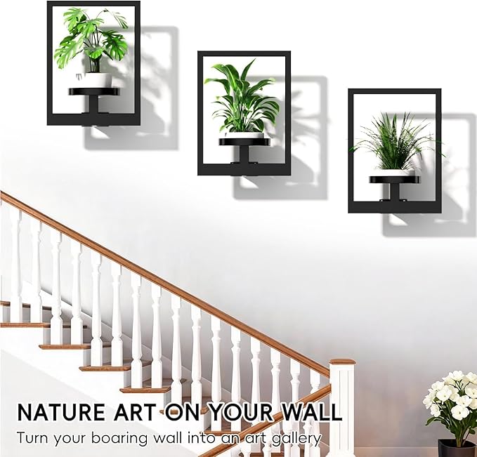 Wall Plant Stand, Metal Picture Frame Hanging Planters for Indoor Plants, Wall Mounted Plant Shelf for Window/Living Room/Bedroom/Entryway/Garden, Free Garden Shears (Square-Black, 3Pcs)