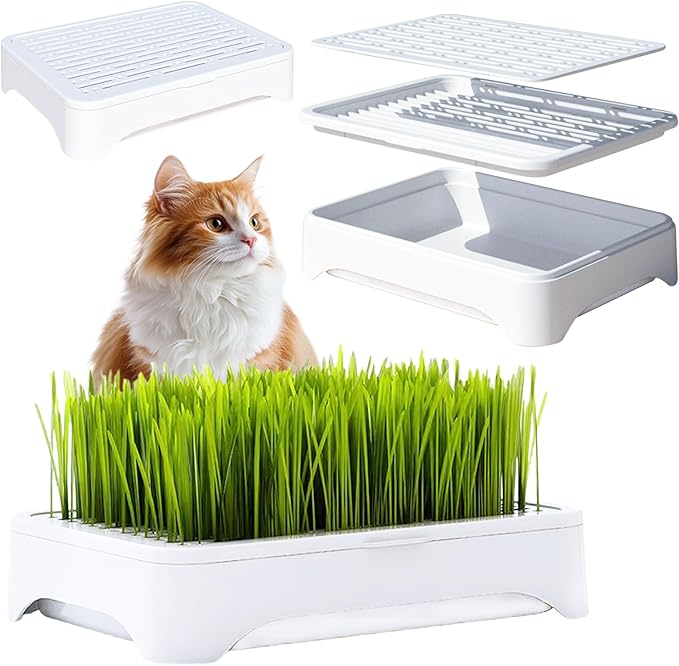 2-Pack Cat Grass Planter (No Seeds Included), Tri-Section Design, Anti-Pull Out Cat Grass Seed Starter Tray, Sprouts Growing Kit, Microgreens Growing Trays