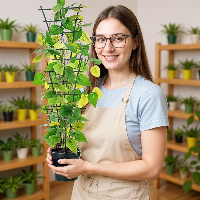 6PCS Small Trellis for Potted Plants, 9.6x5.9in Stackable Plant Trellis Indoor for Climbing Plants Plastic Superimposed Potted Plant Support for Houseplant Pothos Flower Vines Vegetable Ivy