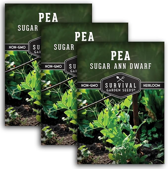 Sugar Ann Dwarf Pea Seeds for Planting - Compact Sugar Snap Peas for Containers and Small Gardens, High Yield Heirloom Open Pollinated Non-GMO - Survival Garden Seeds (3 Pack)