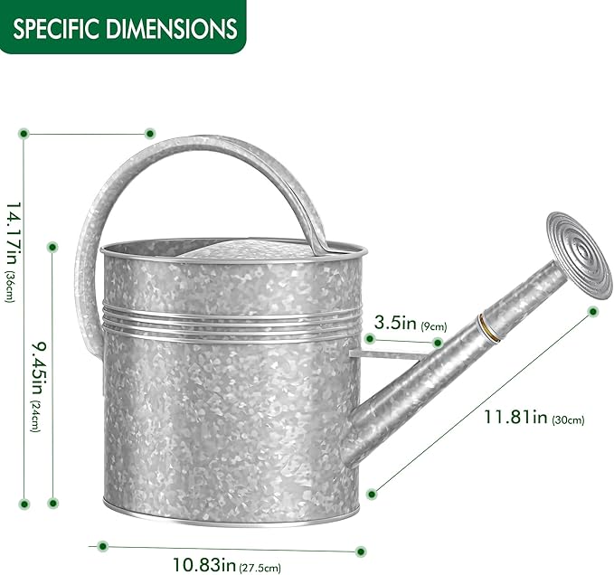 2.5 Gallon Metal Watering Can, Galvanized Watering Can for Outdoor Indoor Plants, Large Water Can for Plants and Garden Flower