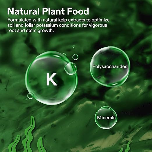 VIVOSUN All-in-One Concentrated Plant Additive NutriBoost (0-0-1) All-Purpose Liquid Fertilizer and Bloom Juice (0-6-4), Flowering Supplement Liquid Fertilizer for Flowering Stage, Concentrated Plant