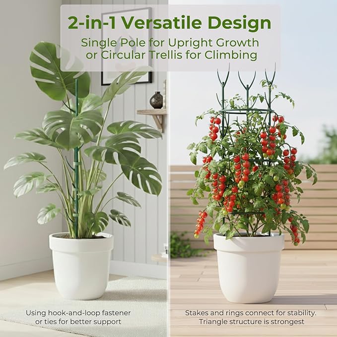 Monstera Plant Support Stakes Indoor - 10 Pack Stackable Garden Trellis for Potted Climbing Pothos Support - Durable All-in-One Tall Plant Sticks Pole for Modern Home Gardening
