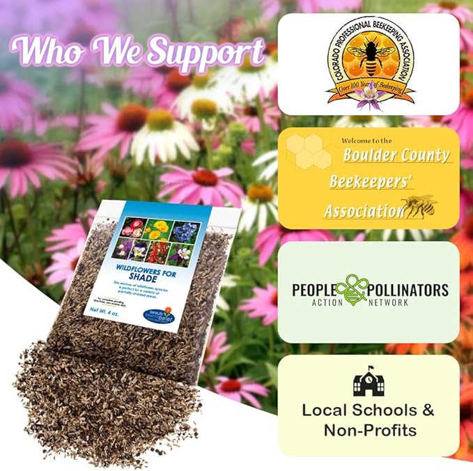 BBB Seed Partial Shade Wildflower Seeds 4oz - Open-Pollinated Wildflower Seed Mix Packet, No Fillers, Annual, Perennial Wildflower Seeds for Planting Year Round, 1/4 Pound