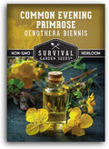 Common Evening Primrose Seeds for Planting - Biennial Native Wildflower, Night-Blooming with Yellow Flowers - Oenothera biennis - Non-GMO Heirloom - Survival Garden Seeds (1 Pack)