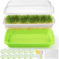 12 Pack Green Seed Sprouter Trays with Lid, Soil-Free Cultivation Germination Tray, Fodder Sprouting Trays Nursery Tray with Planting Paper for Indoors Outdoors