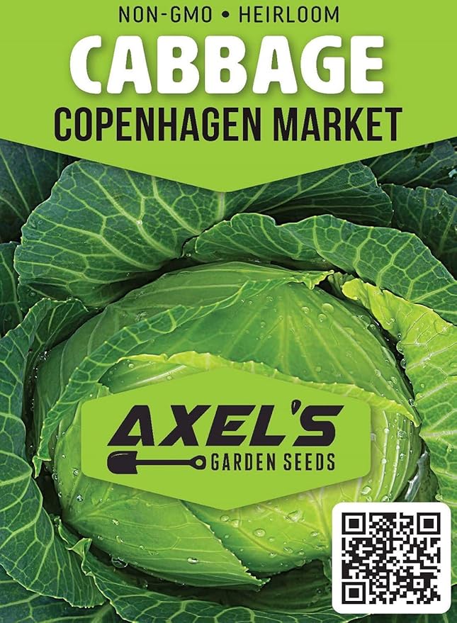 Cabbage Seeds for Planting – Non-GMO Heirloom Vegetable Seeds – Full Instruction Packets to Plant in Your Home Outdoor Garden – Gardening Gift – 200 Copenhagen Cabbage Seeds Per Pack (5 Packets)