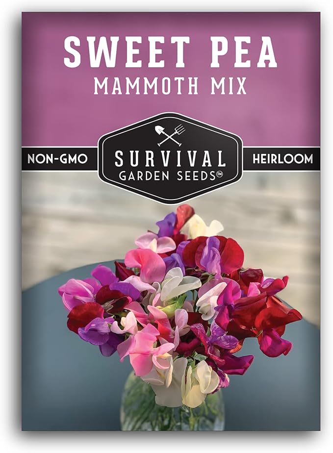 Mammoth Mix Sweet Pea Seeds for Planting – Heirloom Sweet Pea Variety with Giant Fragrant Flowers on Tall Climbing Vines for Trellises and Fences – Survival Garden Seeds (1 Pack)