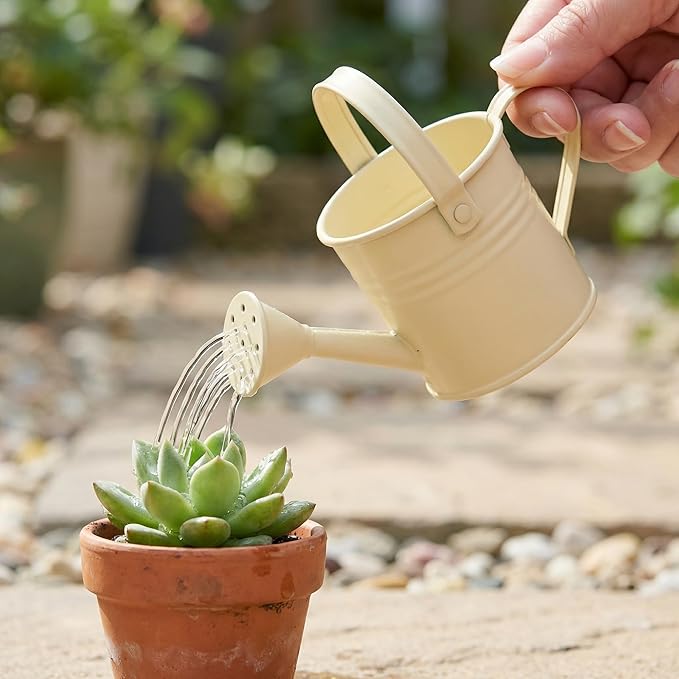 DOITOOL Small Metal Watering can for Kids Pink Mini Flower Watering Pot with Long Spout Portable for Indoor and Outdoor Plant Care