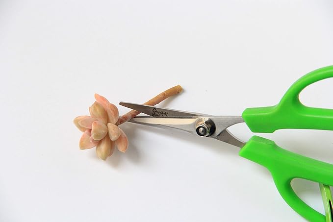 Gardening Scissors For Succulents