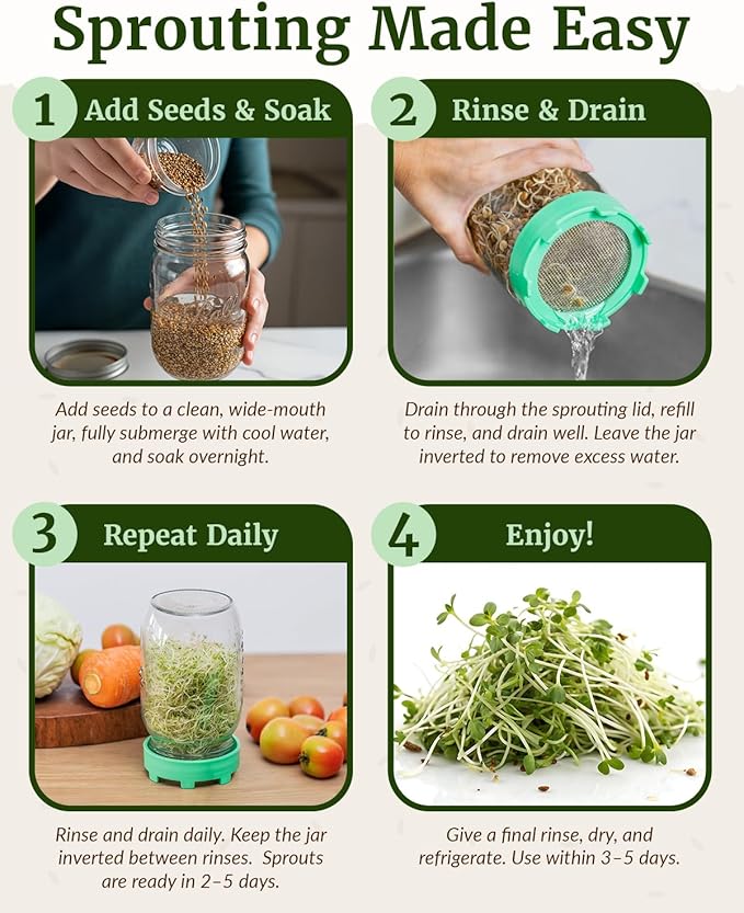 Elementi Sprouting Lids for Wide Mouth Mason Jars (Set of 4), Sprouting Jar Kit for Organic Alfalfa & Micro Greens Sprouts Growing Kit, 316 Stainless Steel Mesh Screen Strainer Lid (Mushroom)