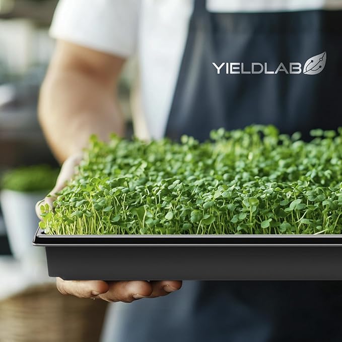 10x20 Inch Black Plastic 5 Pack Plant Propagation Tray – Growing Trays for Garden, Planting, Seedling, Soil & Hydroponic Horticulture - Microgreen Trays Grow Plants - No Drain Holes