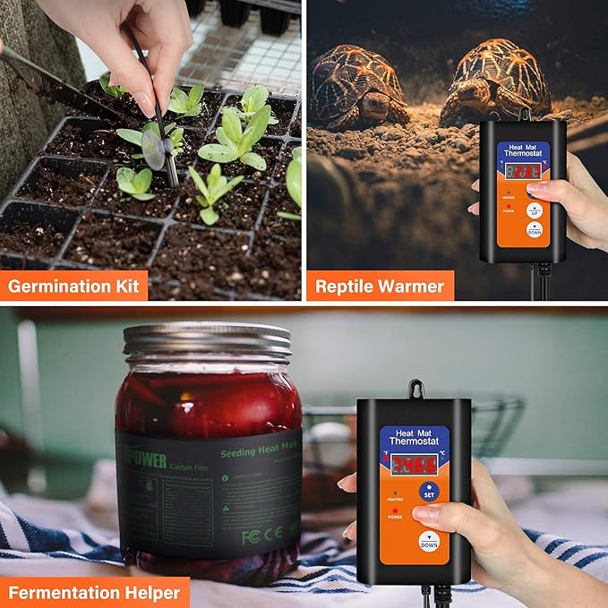 iPower 6X8 Inch Reptile Heat Pad Under Tank Heater Terrarium Warmer Heating Mat and Digital Thermostat Controller for Turtles Lizards Frogs and Other Small Animals