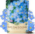 10,000+ Forget Me Not Seeds – Flower Seeds for Planting, Myosotis Perennial Garden Seeds, Easy to Grow Blue Wildflowers for Outdoor & Indoor, Pollinator Friendly, Memorial & Wedding Favor Flowers