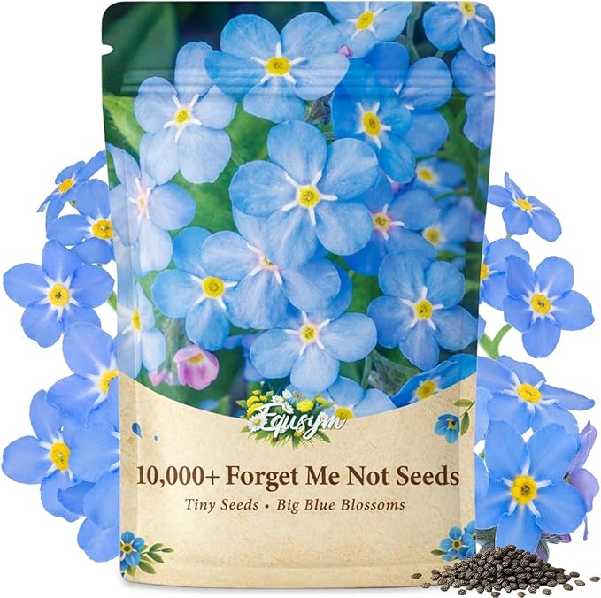 10,000+ Forget Me Not Seeds – Flower Seeds for Planting, Myosotis Perennial Garden Seeds, Easy to Grow Blue Wildflowers for Outdoor & Indoor, Pollinator Friendly, Memorial & Wedding Favor Flowers