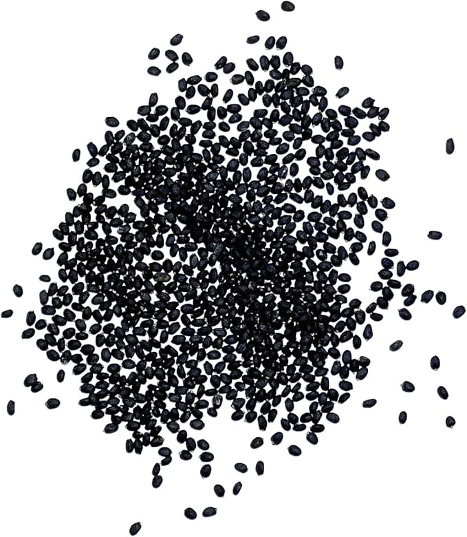 Seed Needs Spicy Globe Basil Seeds for Planting - Non-GMO Heirloom & Untreated Culinary Herb Seed to Plant an Indoor or Outdoor Home Grown Kitchen Garden (2 Packs)