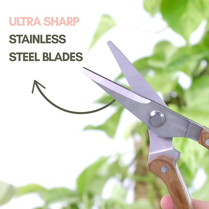 Mossify Gardening Shears Slim 8.5” – Premium Stainless Steel Pruning Shears with Wooden Handle – Hand Pruners, Plant Clippers & Garden Scissors – Sharp Garden Tool for Left & Right Hand Use