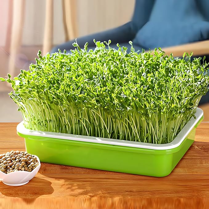 LeJoy Garden Seed Sprouter Tray BPA Free PP Soil-Free Big Capacity Healthy Wheatgrass Grower with Lid Sprouting Kit 13.4x9.84x4.72 inches