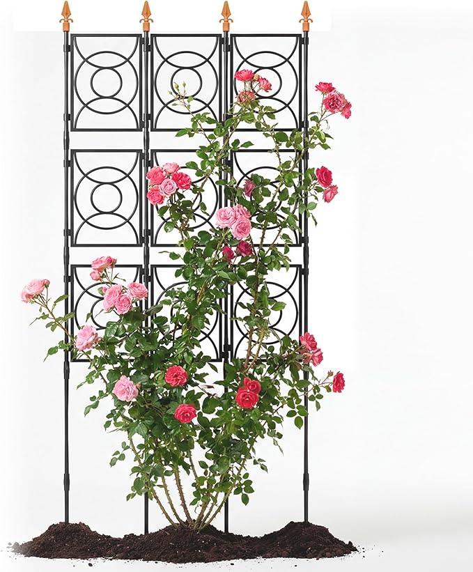 Trellis for Climbing Plants Outdoor, 24 Rifny Tall Garden Trellis Flower Rose Cucumber Trellis for Vines Pea Support, Wall Large Plant Trellis Fence with with Plastic Frame, 3 x 6.2 FT