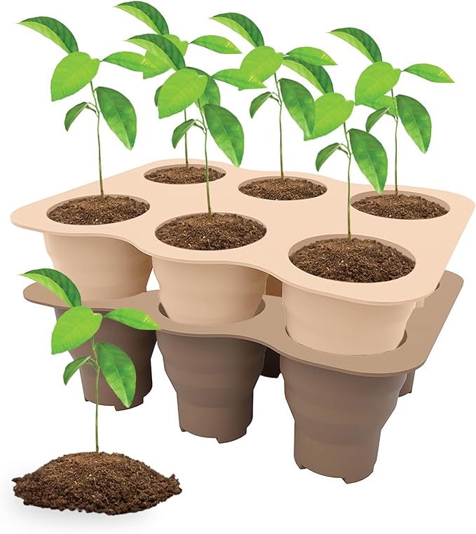 Seed Starter Trays, 2 Pack 6 Cells Seed Starter Kit, Silicone Plant Germination Trays Gardening Starter Kit, Reusable Seed Starter Tray for Plant Germination, Seeds Growing