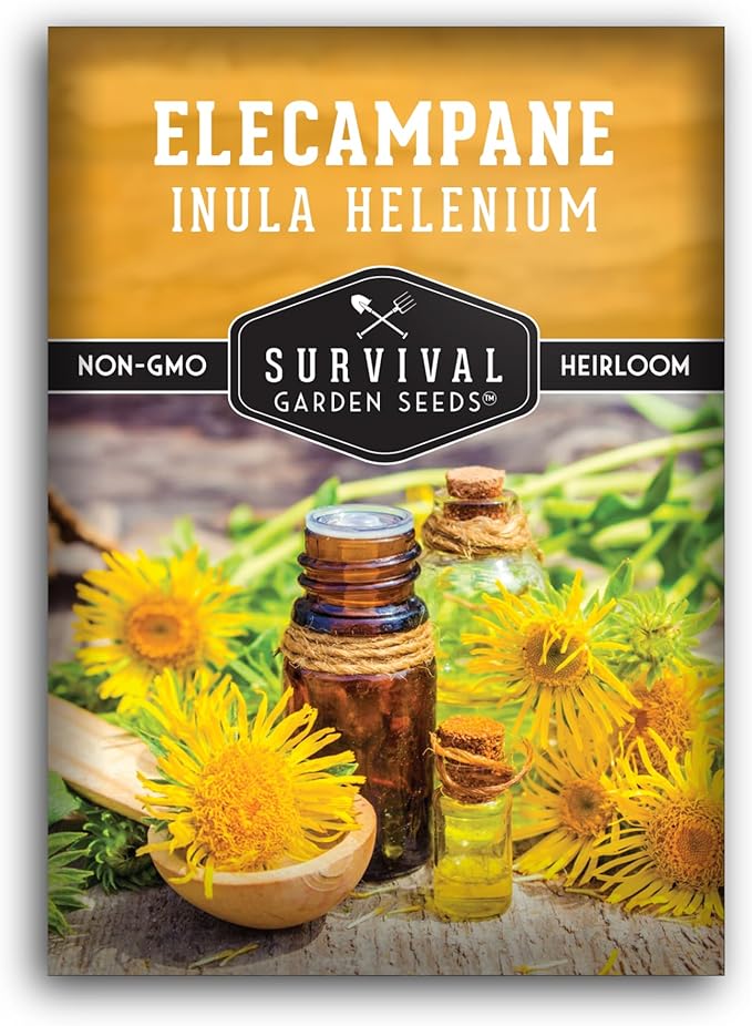 Elecampane Seeds for Planting - Traditional Medicinal Herb (Inula helenium) with Tall Yellow Blooms for Homestead & Healing Gardens - Heirloom Non-GMO - Survival Garden Seeds (1 Pack)