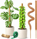 Craft911 Moss Pole Monstera Plant Support – 2 Pack 30” Bendable Moss Pole Monstera Plant Support, Plant Stakes for Indoor Plants, Tall Plant Sticks Support for Climbing Plants