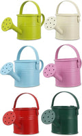 Kids Metal Watering Can, 6pack Small Iron Watering Can for Gardening Succulents Houseplants Bonsai, Mini Water Pot for Children Sprinkling Bucket (Mixed Style: Pink, Green, Yellow, Beige, Blue, Red)