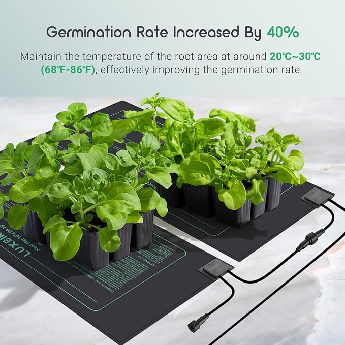 LUXBIRD Daisy Chain Seedling Heating Mat with Digital Thermostat Controller, 10" x 20.75" Waterproof Plant Heating Mat for Seed Starting, Germinating, Hydroponics, Brewing, Breeding (Master Mat)