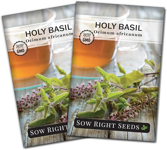 Sow Right Seeds - Holy Basil Tulsi Seed for Planting - Culinary Herb to Plant in Your Garden - Indoors or Outdoors - Ayurvedic Medicine and Tea - Non-GMO Heirloom Seeds - Great Gardening Gift (2)