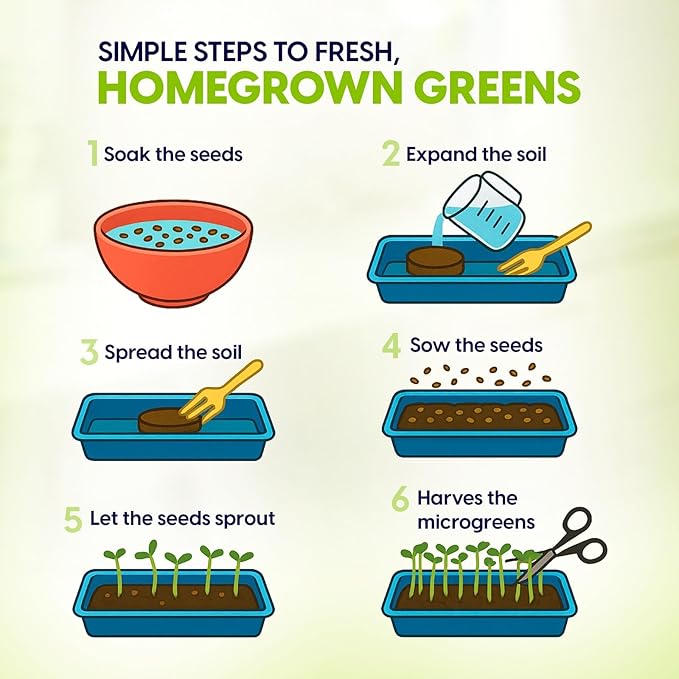 ZESTIGREENS Ceramic Microgreens Growing Kit to Grow 3 Crops Including Organic USDA Sunflower, Melon & Mixed Microgreens Seeds.