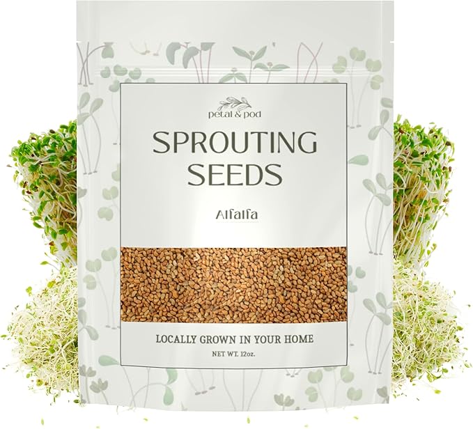 Petal & Pod Microgreens & Sprouting Seeds (12oz) - Alfalfa - Seeds for MicroGreens Growing Kit and Sprouting Jars