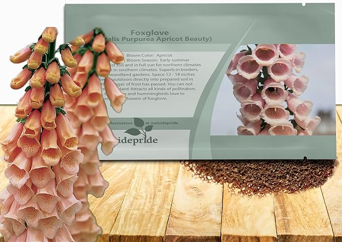 Outsidepride Digitalis Purpurea Apricot Beauty Foxglove Seeds – 5000 Pcs Biennial, Prolific, Tall Growing Flower Seeds with Pollinator-Friendly Blooms for Shaded Gardens & Outdoor Landscapes