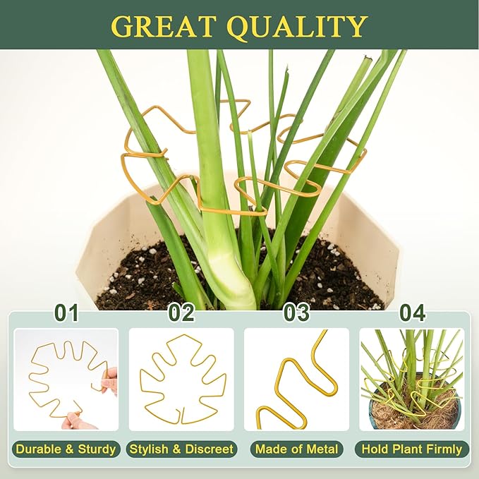 Plant Stem Support 2 Pack, Adjustable Metal Monstera Plant Support Small & Large, Unique Design Plant Supports for Indoor Plants Moss Pole Growth (Gold)