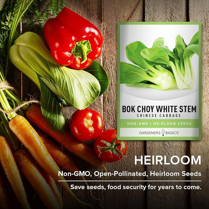 Gardeners Basics, Bok Choy Chinese Cabbage Seeds for Planting - (Pak Choi) Heirloom, Non-GMO Vegetable Variety- 1 Gram Seeds Great for Summer, Spring, Fall and Winter Gardens