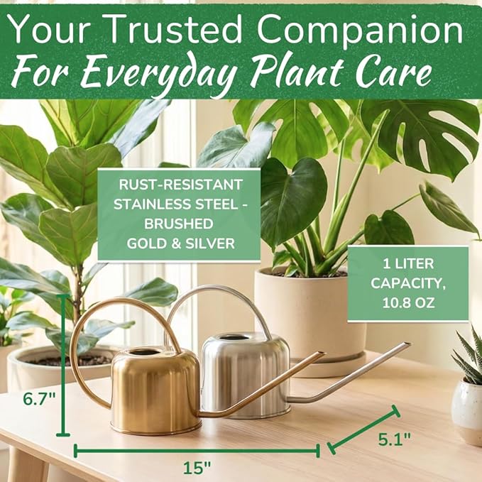 Stainless Steel Watering Can for Houseplants by Houseplant Resource Center | 1L Capacity for Indoor/Outdoor Plants in Brushed Silver