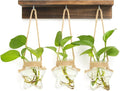 XXXFLOWER Wall Hanging Propagation Station with 3 Star-Shaped Glass Vase, Plants Propagation Stations for Hydroponics Living Room Office Decoration,Unique Gardening Gifts for Plant Lover