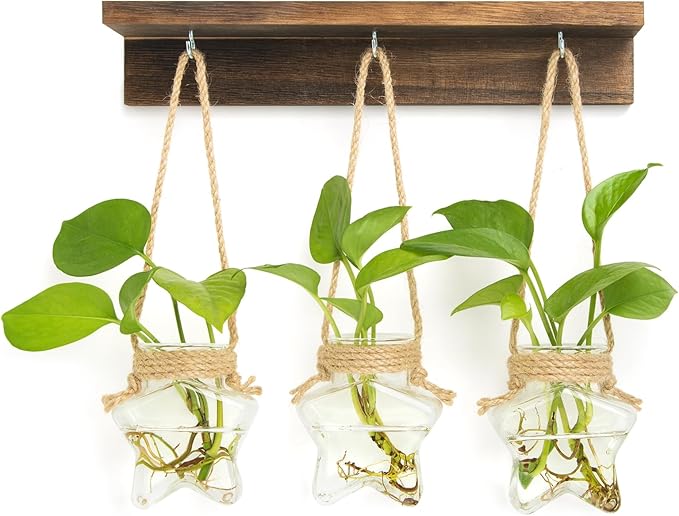 XXXFLOWER Wall Hanging Propagation Station with 3 Star-Shaped Glass Vase, Plants Propagation Stations for Hydroponics Living Room Office Decoration,Unique Gardening Gifts for Plant Lover