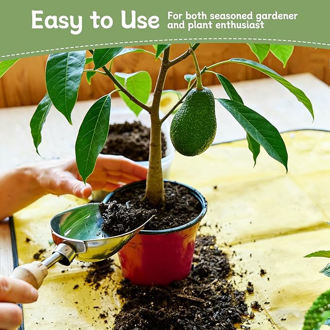 Avocado Soil 4qt, 100% Natural Organic Potting Soil for All-Stage Avocado Tree Growth