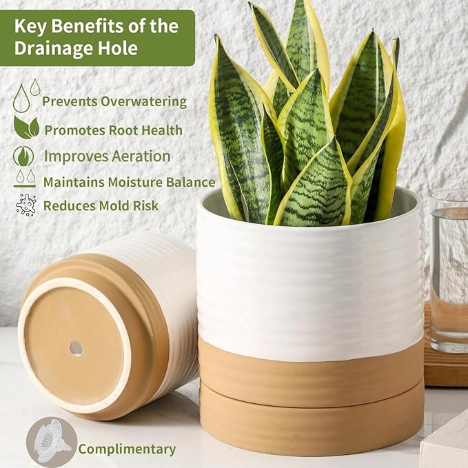 HASENSE 4.6 Inch Plant Pots, Ceramic Flower Pots for Indoor Plants, Small White Planter with Drainage Hole and Saucer, Cute Mini Windowsill Tabletop Decor, Set of 4