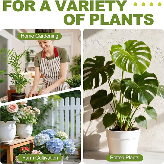 24PCS Plant Stem Support, 4-Size Stem Supports for Indoor Plants, Reusable Monstera Plant Support for Thriving Growth, Indoor Plants Accessories