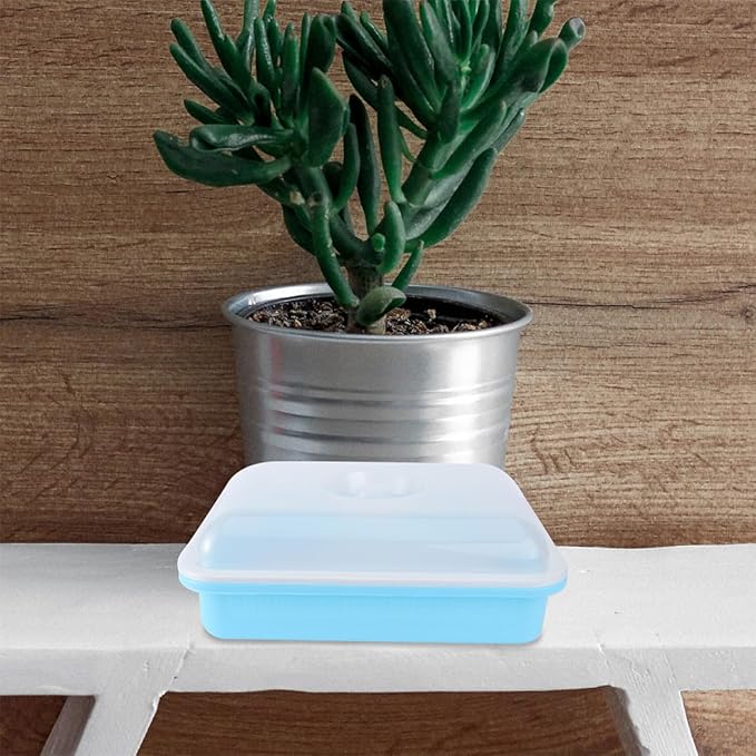 Vegetable Seedling Starter Trays with Lids, Cell Starter and Germination Trays Set for Indoor Gardening, Humidity Dome Covered Blue and Pink Nursery Pots for Plant Growth