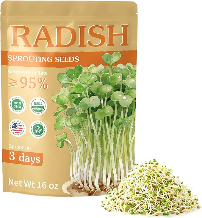 Organic Radish Sprout Seeds (16 oz), Certified Non-GMO, Heirloom Seeds, Premium Radish Sprouting Seeds for Sprouting and Microgreens, High Yield High Germination, Resealable Bag