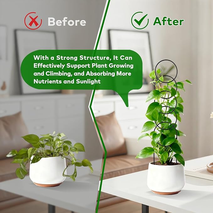 16 Inch Plant Trellis Indoor for Climbing Plants,Metal Small Garden Trellis for Potted Plants,Plant Stakes for Indoor Plants Accessories Hoya,Flower,Plant Support,Plant Gifts 2PCS
